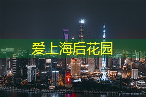 迷失于灯光下的上海